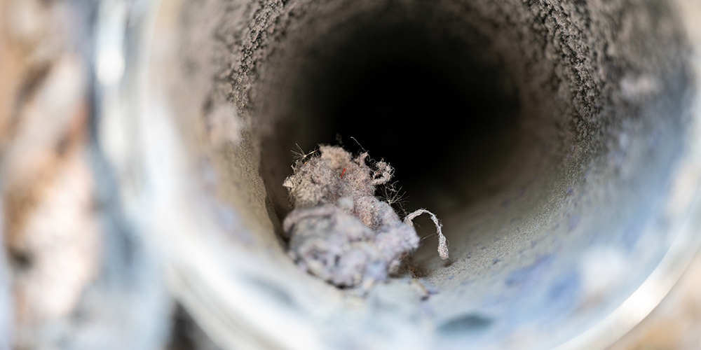 How Often Should You Clean Your Dryer Vent?