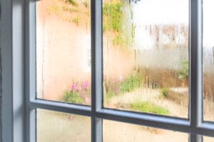 Are Whole House Dehumidifiers Worth It?