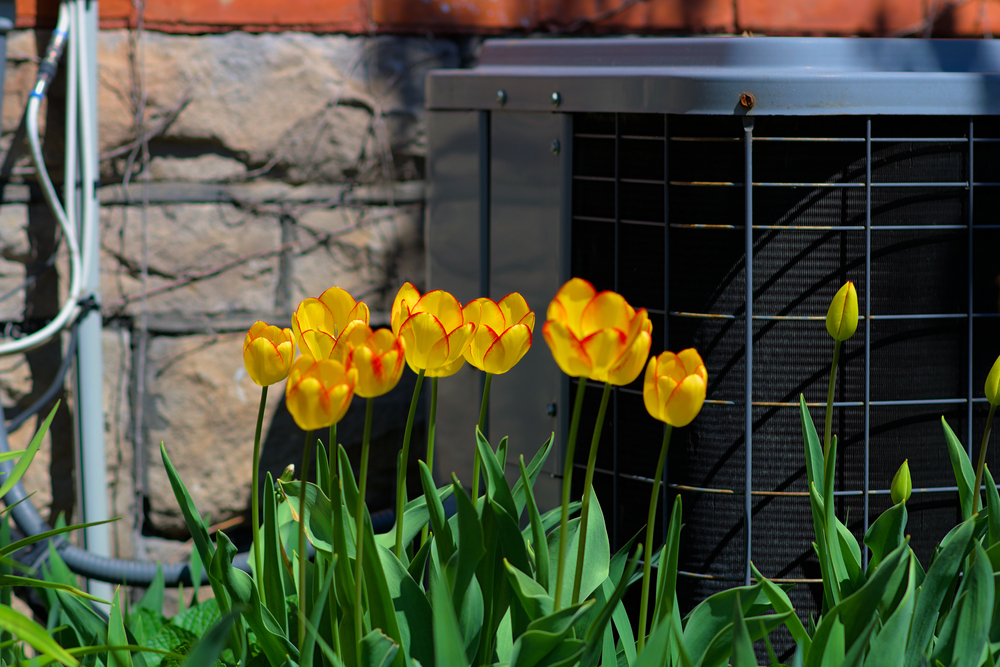 How Dirt and Debris Affect Your Air Conditioner