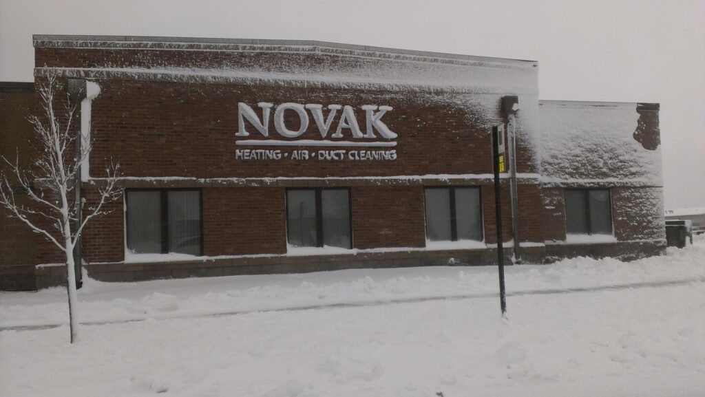 Winter Novak Picture